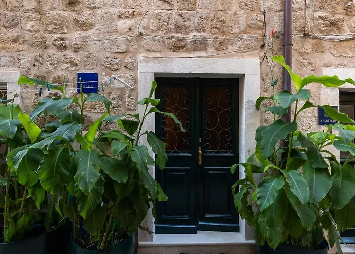 B&B Buza House